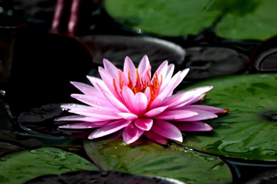 Z6·尊龙凯时「中国区」官方网站